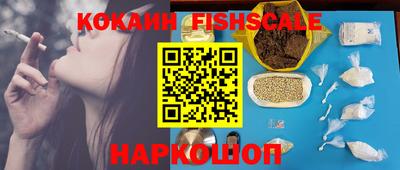 индика Будённовск