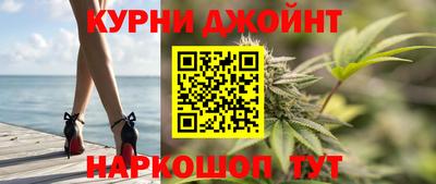 индика Будённовск